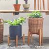 03 Pot Stand L Low Type 24 X Depth 24 X Height Cm Recommended for Pots Up To 20 Cm In Diameter Flower Stand Planter Stand Flower Pot Stand 15.3