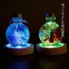 Herbarium Display Light LED Coaster Figurine Light-Up Rainbow Stand Base Battery Operated LED (6 Pieces)