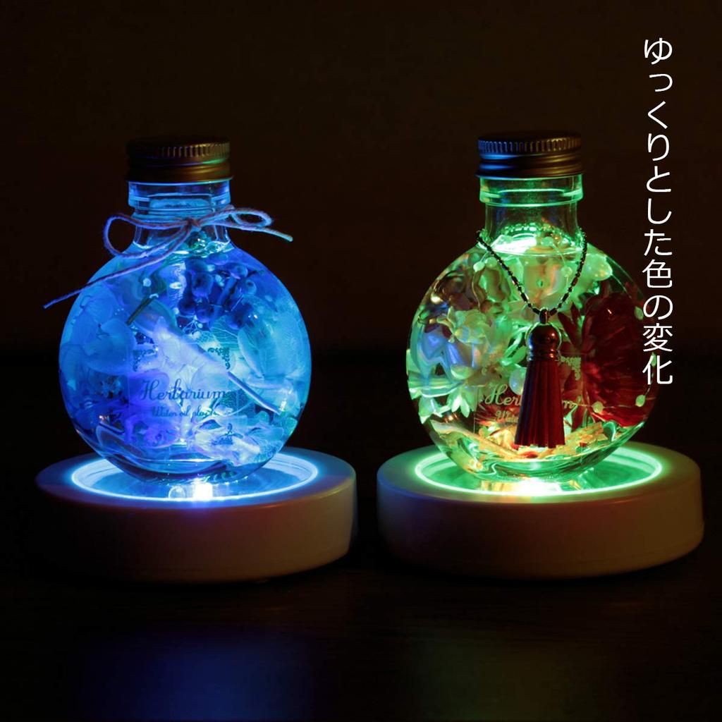 Herbarium Display Light LED Coaster Figurine Light-Up Rainbow Stand Base Battery Operated LED (6 Pieces)
