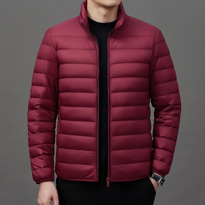 2024 Men's Lightweight Fashion Down Jacket - Short Stand Collar, White Duck Down, Warm Winter Coat