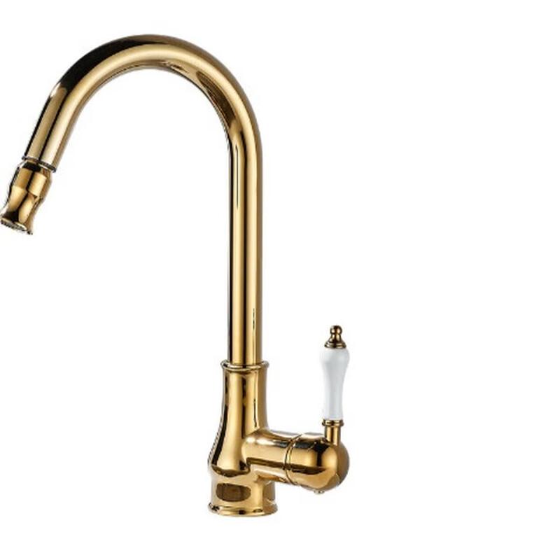 Mussel Brass Pull-Out Kitchen Faucet