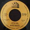 7inch Record WAYNE ROBERTS  Little Girl  One Piece Bathing Sui 45644DJPROMO 20th Century Fo US Rock Used