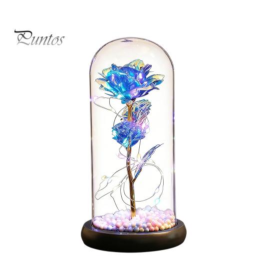 No Maintenance Flower Gift Rose Gifts for Her Mom Wife Grandma Light Up Eternal Lasting in A Dome Romantic Anniversary Birthday Valentine's