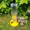 Multi-Hole Chicks Automatic Drinking Tray Plastic Bee Water Dispenser  Home Balcony