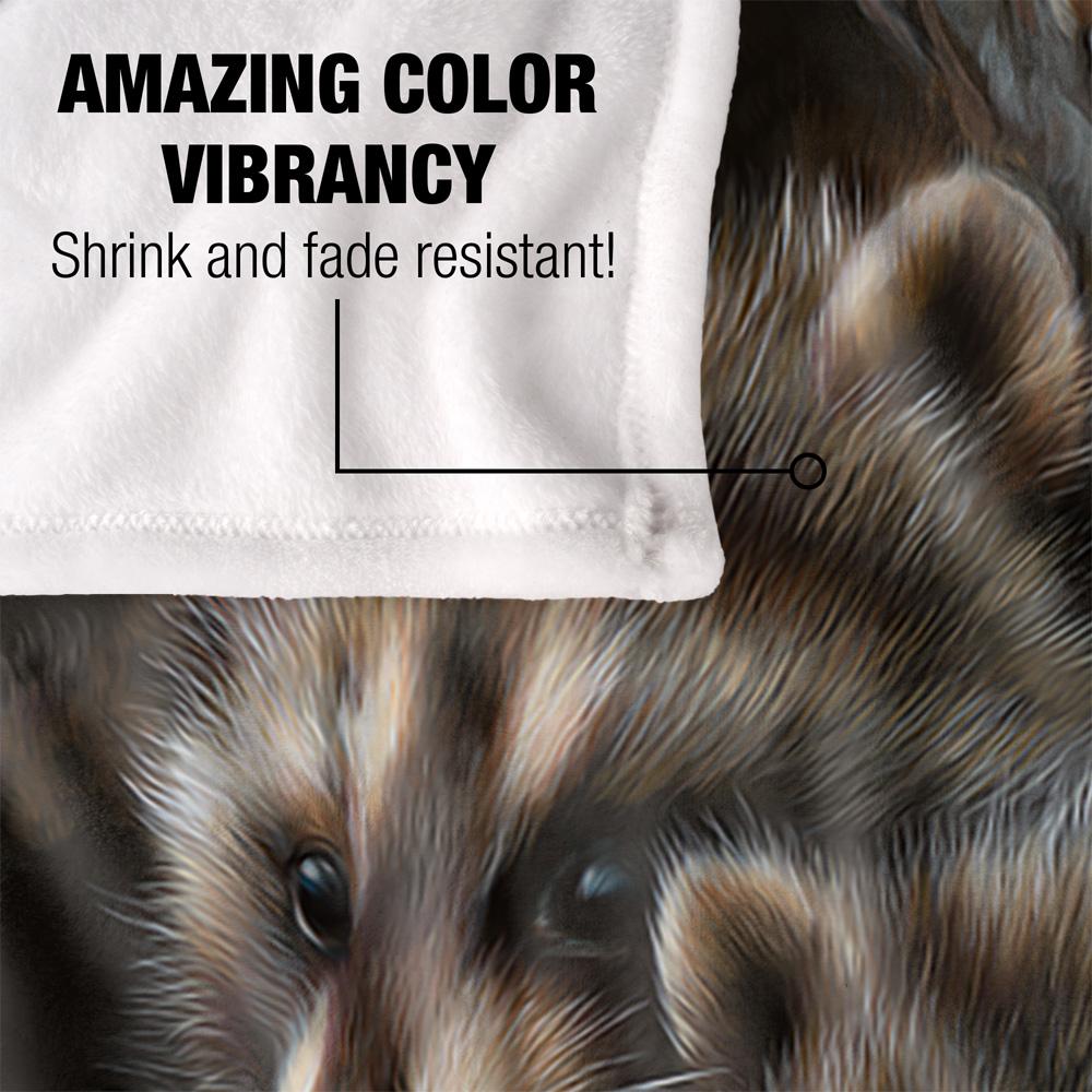 JQ Licensing Silky Raccoon Supersoft Blanket