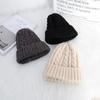 Ins Internet Celebrity Solid Color Twist Wool Hat Autumn and Winter Warm Children's Hat Women's Trend Versatile Men's Knitted Hat
