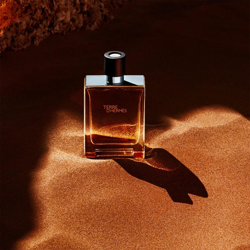 Hermes Terre d'Hermes Eau de Toilette 100ml
