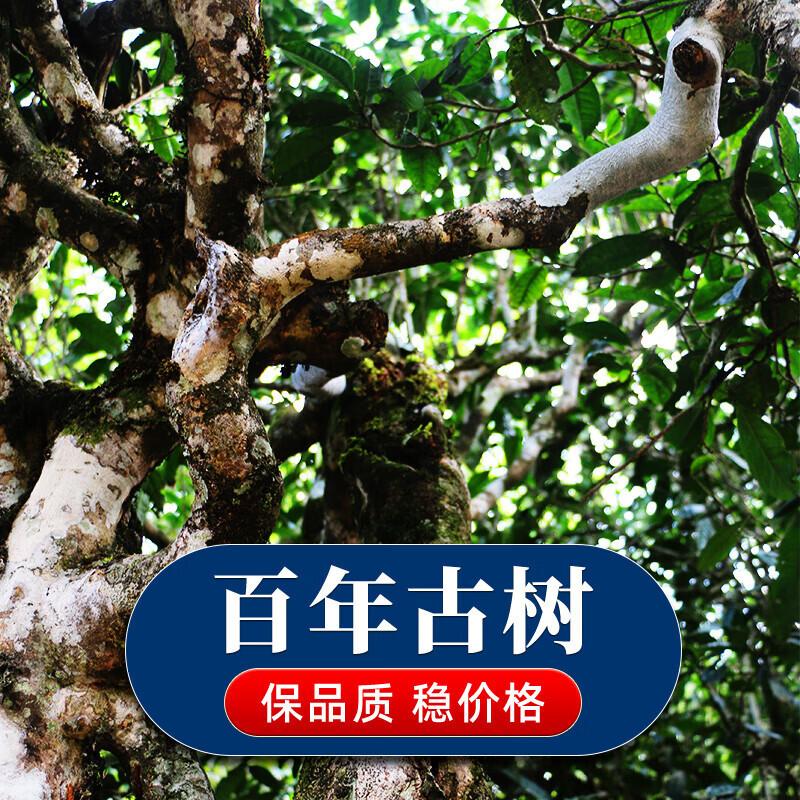 Xinyhao Pu'er Tea Raw Tea Cake Exquisite Small Tea Cake Ancient Tree Spring Tea