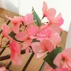 Multicolor Bougainvillea Artificial Flower Vine Hanging Decoration Green Leaves Simulation Flower Vine DIY Photo Props