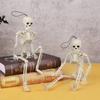 40cm Halloween Skull Skeleton,posable Skeleton,human Shape Bones,halloween Party Home Decorations,haunted House Horror Props