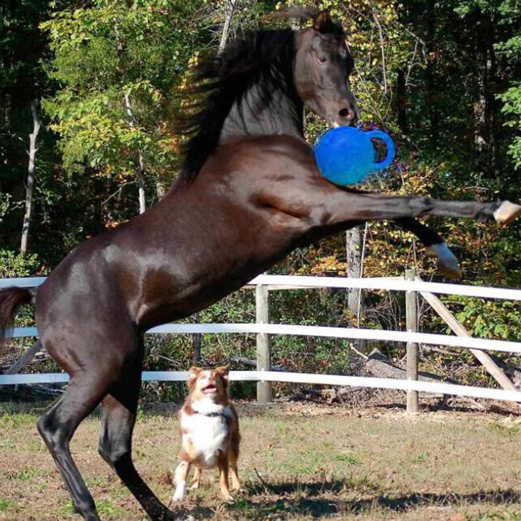 Rubber Equine Chew Jolly Ball 25cm Horse Pony Dogs Soccer Ball Play Toy