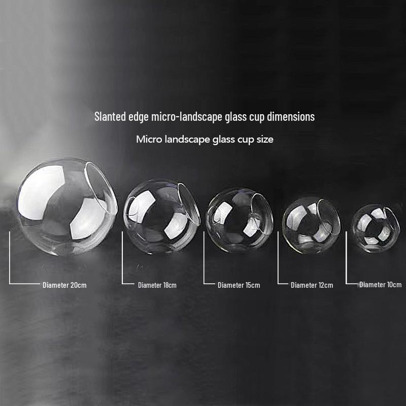 Slanted Mouth Round Glass Vase for Moss Succulents - DIY Eco-Bottle Crystal Home Decoration