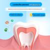 Dr. Tooth Kids Hami Melon Pump Toothpaste & Toothbrush Set
