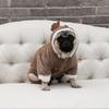 Dog Clothes Winter Sweatshirt Elk Design for Pets 3Pcs Pack
