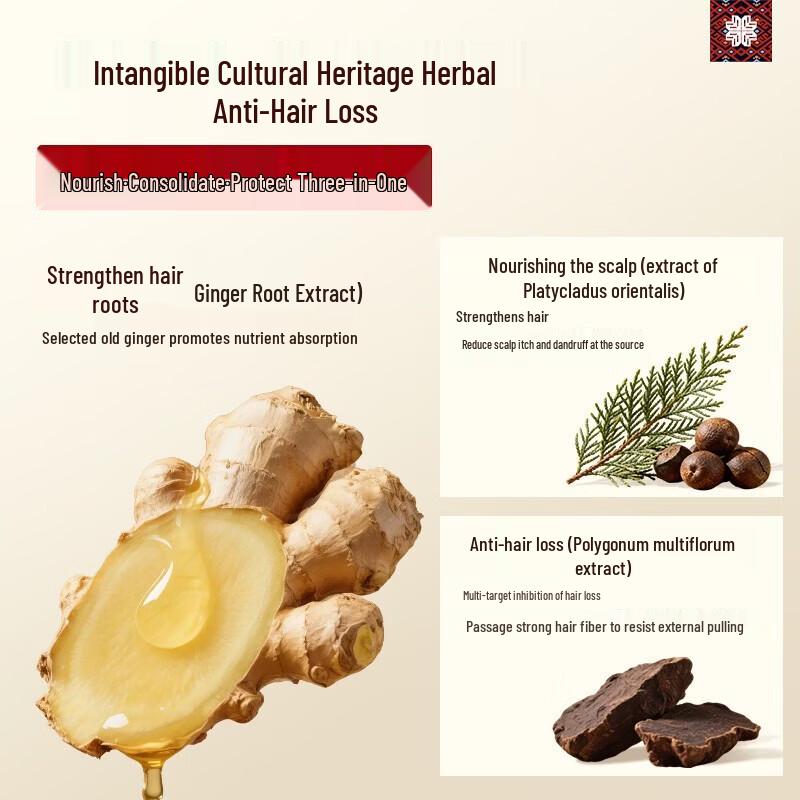 Conjunto de Shampoo e Condicionador Changfa Xiaozhai Ant Queda