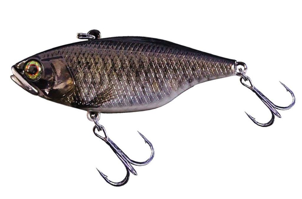 Jackall TN 50 Vollwolfram Vibrationsköder RT School Kobuna (4208)