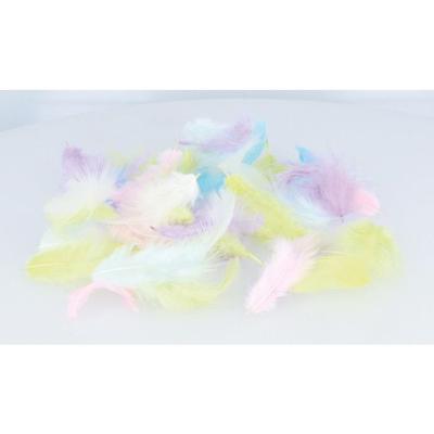 COLORFUL FEATHERS - 10 GR - RAINBOW