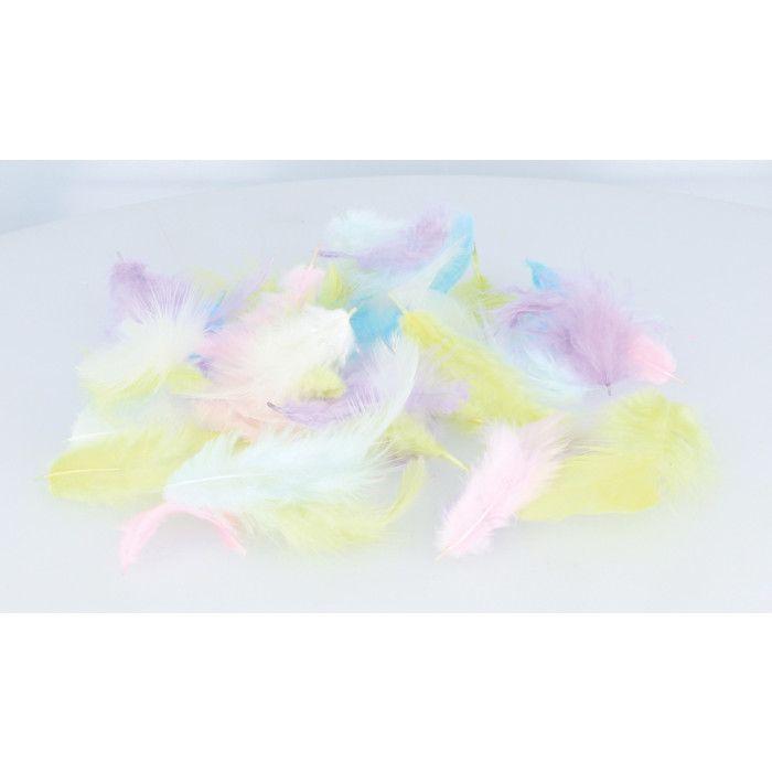 Plumes Colorées Arc-en-Ciel 10g
