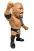 16d Soft Vinyl Collection WWE 021 WWE The Rock [The Rock] Non-scale Soft Vinyl Painted Movable Figure Second Order