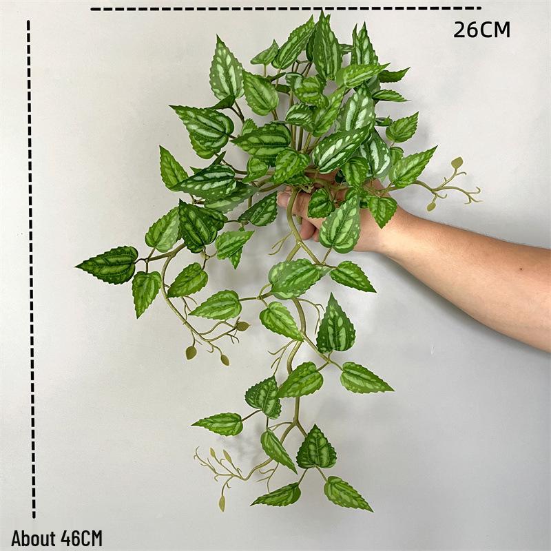 Wandmontierte Monstera-Ranke für die Innendekoration: Hängende Efeutute und laminierte grüne Zweige