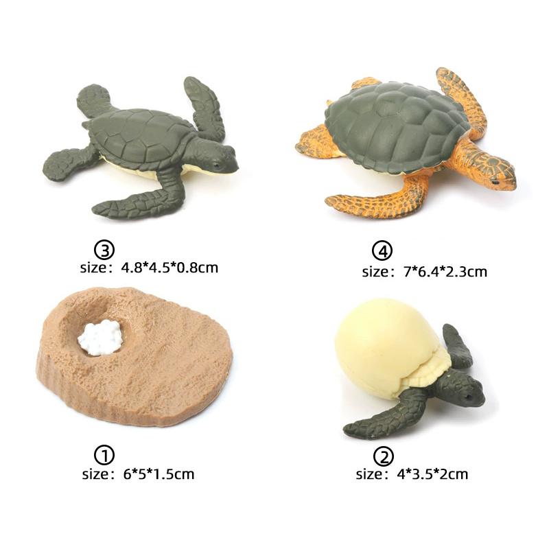 First-Class Children First-Class Montessori First-Class Animal Top-Grade Life High-Standard Cycle Premium-Quality Board Collection Kit Play Sets