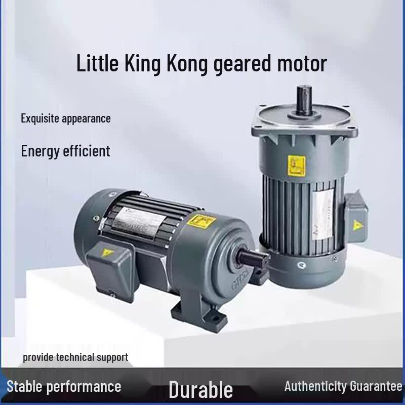 WD CH-4 Geared Motor