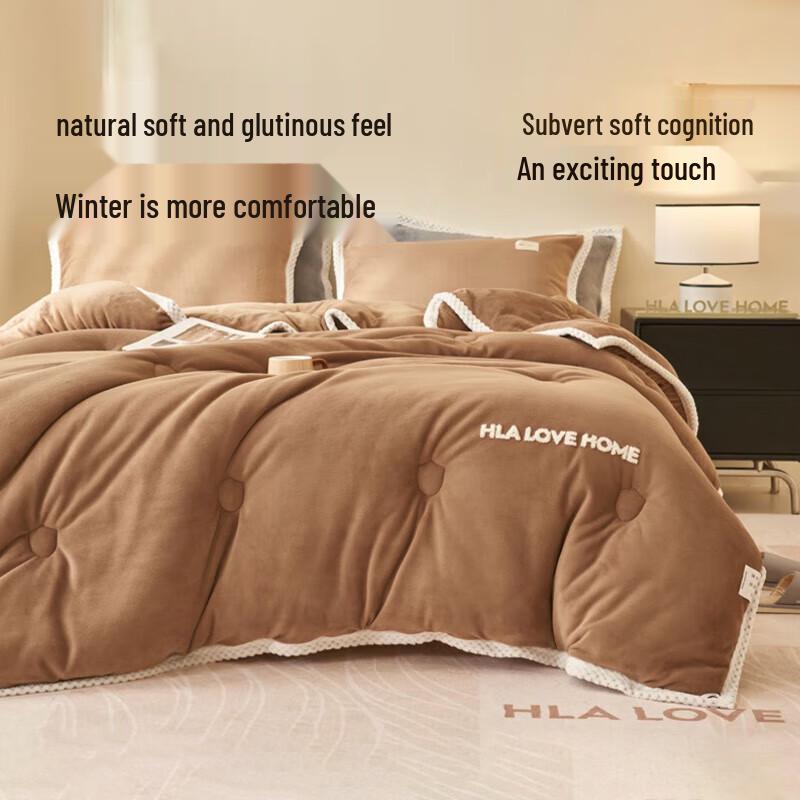 Hotsun Home Milk Velvet Winter Quilt