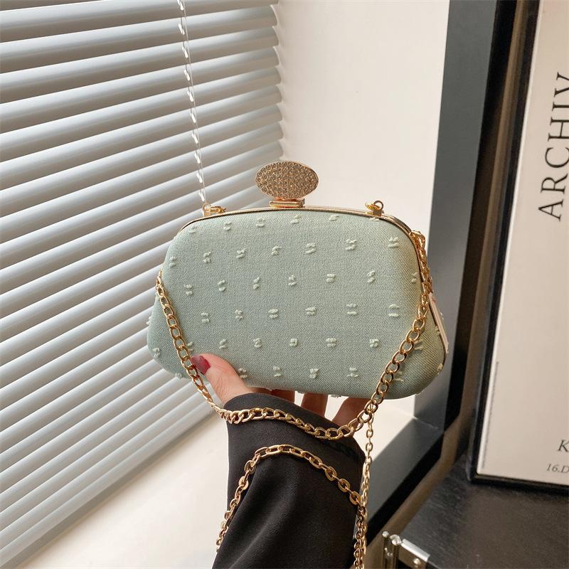 Light Luxury Clip, Personalized Shoulder Messenger Bag, Fashionable, Simple and Simple, High-texture Chain Bag for Women