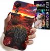 Etui Do Samsung Galaxy Xcover 7 - Meksykańska Pustynia Widoki Case + Szkło