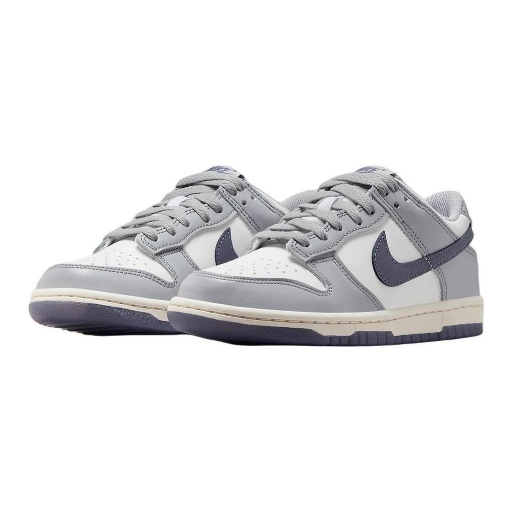 Nike Dunk Low GS Platinum Tint Light Carbon Kids Sneakers White Pure-Platinum FB9109-101