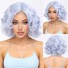 Light Blue Gray Short Curly Synthetic Wig, Women's Fluffy Wavy Wig for Cosplay & Daily Wear