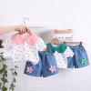 New Summer Baby Clothes Set Children Girls Cute Shirt Shorts 2Pcs/Sets Kids Clothing Infant Casual Costume Toddler Tracksuits