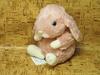 Lop-Eared Rabbit Plush Toy, Small, Pink