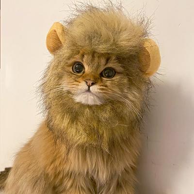 Katzenperücke Hut Für Kleine Hunde Katzen Haustier Halloween Cosplay Löwe Kreative Kleidung Accessoires Lustige Kätzchen Kopfbedeckung Yorkshire Schal