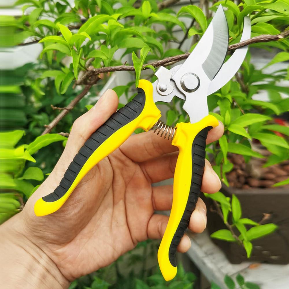 Curved Stainless Steel Hand Pruner Sharp Gardening Scissors for Fruit Tree Branch Flower Stem Cutting Tool