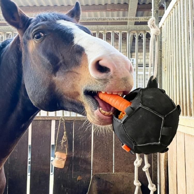 High Capacity Equine Enrichment Toy Interactively Carrot Feeder Ball Creative Treat Dispenser for Goats, Sheep