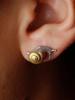 A Pair of Stylish, Retro, Elegant, and Uniquely Designed Metal Snail Stud Earrings, Suitable for Both Men and Women, and a Couple's Style.