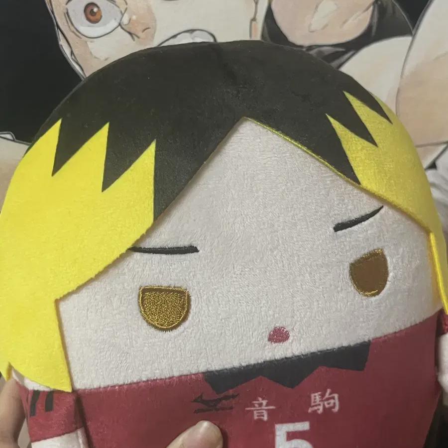 

Кукла Haikyu Kenma M