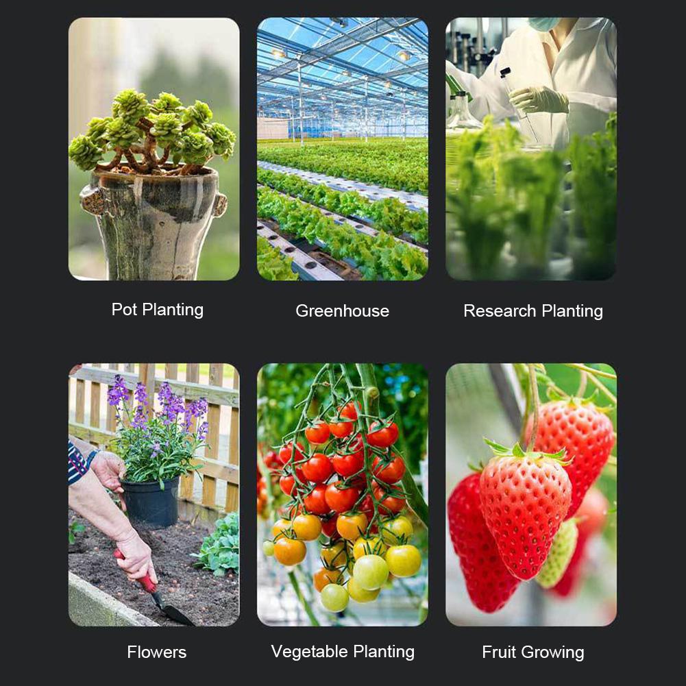 

6 in 1 Digital Soil Tester LCD Backlight Soil Moisture Sensor Metal Sensor Prob PH Moisture Temp Humidity Monitor Gardening Tool China Mainland
