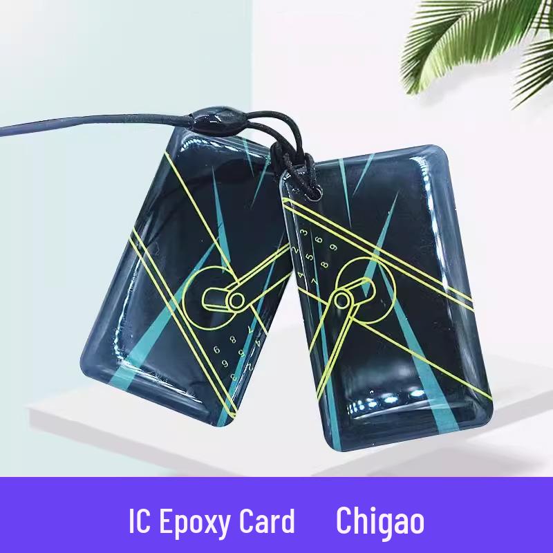 IC Epoxy Access Control High-Frequency Identity Card with F08 Chip for Personnel Management