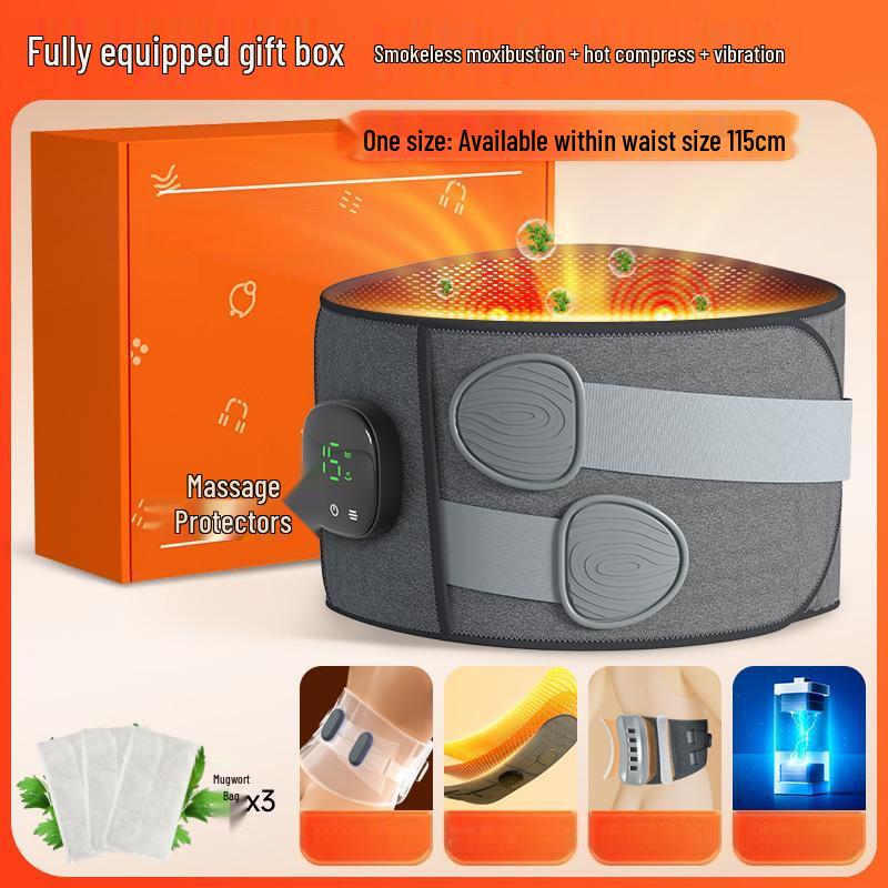 Junshi Smart Heating & Vibration Waist Massager