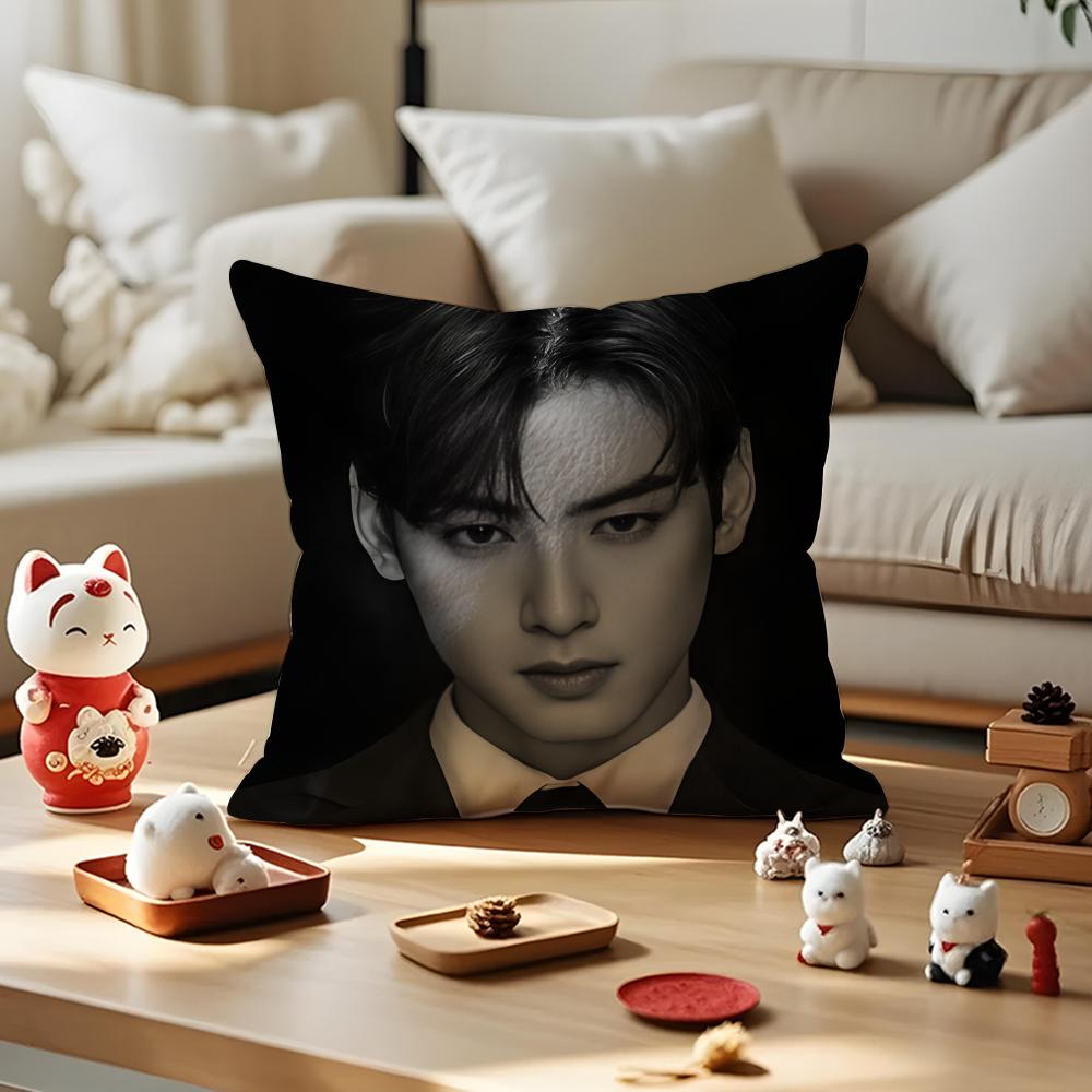 Singer Cha E-Eun W-Woo Cushion Cover Silky Short Plush With Invisible Zipper Dustproof Sofa Pillow Cover For Home Decor