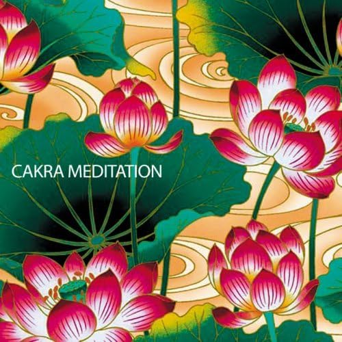 

CD STALAG - [Amazon.co.jp exclusive] Meditation VGVK1010 Japan ObiMusic Others Used