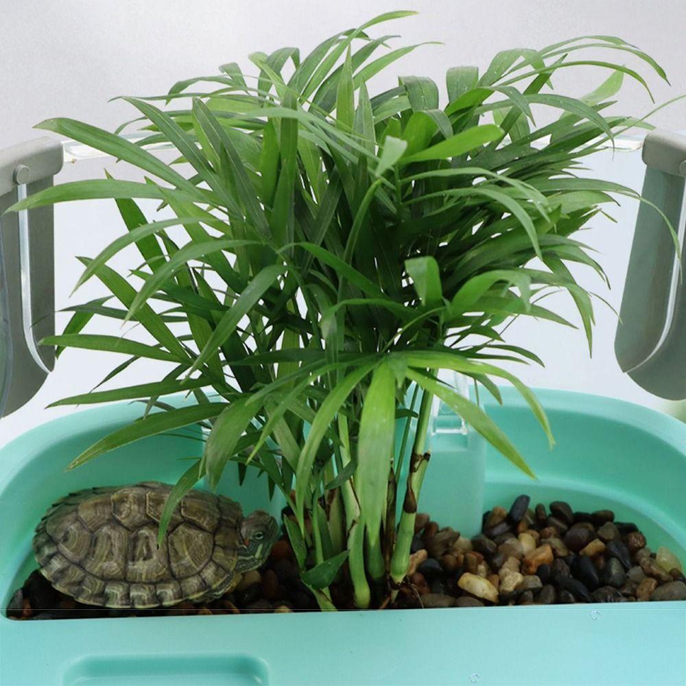 Bask Platform Turtle Tank Bottom Drain Indoor Turtle Enclosure Turtle House Reptile Habitat