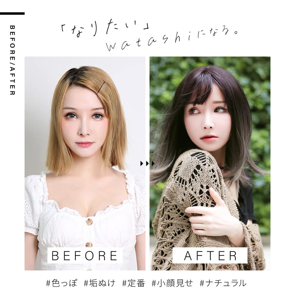 Perücke Mittel Volle Perücke Kleiner Gesichtseffekt Netz Inklusive MODE Midi Farbverlauf Naturschwarz x Aschgrün [TefuRe] Halblang H-6113RN-BLK-A-GREEN