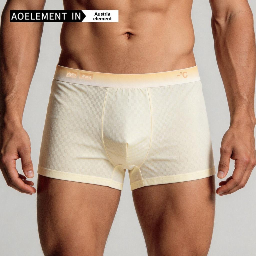 Plus-size Men's Summer Thin Ice Silk Antibacterial Breathable Sports Briefs
