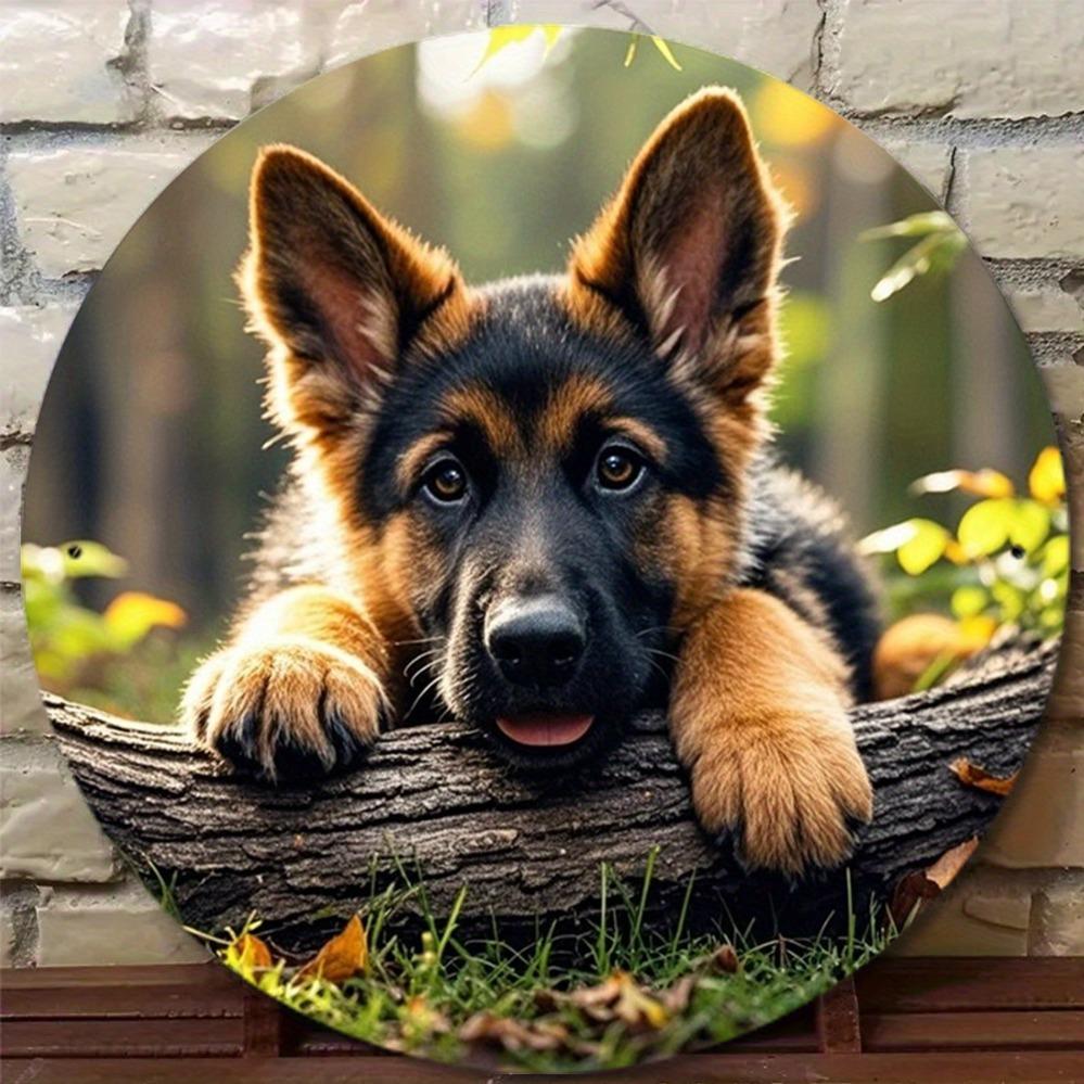 D Metal Sign Retro German Shepherd Dog Wall Art x Inch Round Aluminum Plate Waterproof Forest Scene with Fall Leaves Ideal