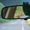 Cartoon Painted Giraffe Car Rearview Mirror Glass Beautification Decoration Sticker
