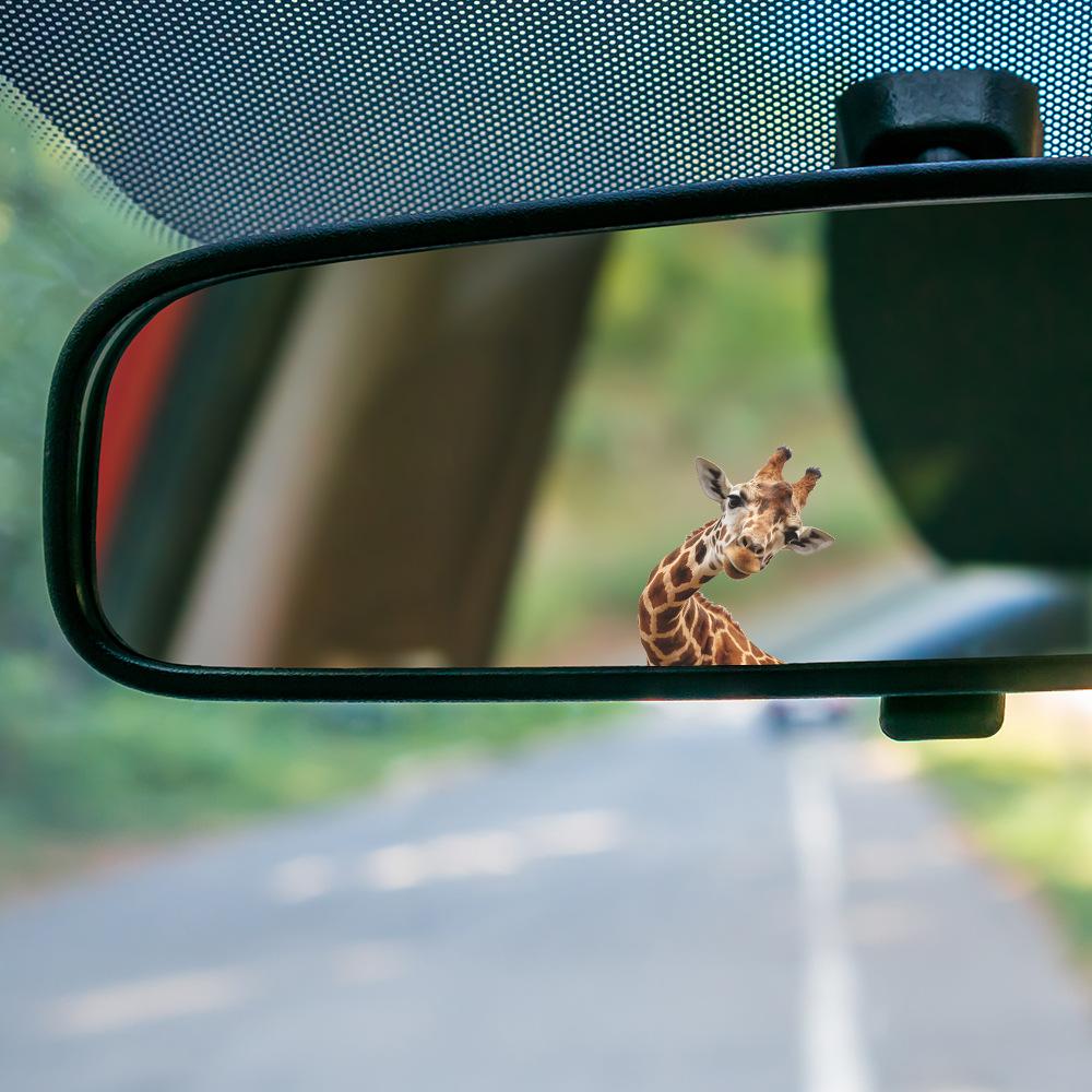 Cartoon Painted Giraffe Car Rearview Mirror Glass Beautification Decoration Sticker