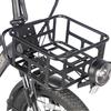 Electric Cargo Bicycle Fafrees 20" F20 Mate 250W Motor Foldable E-Bike Top Speed 25km/h LCD Display 48V 20Ah Dual Hydraulic Brake Max Load 180Kg
